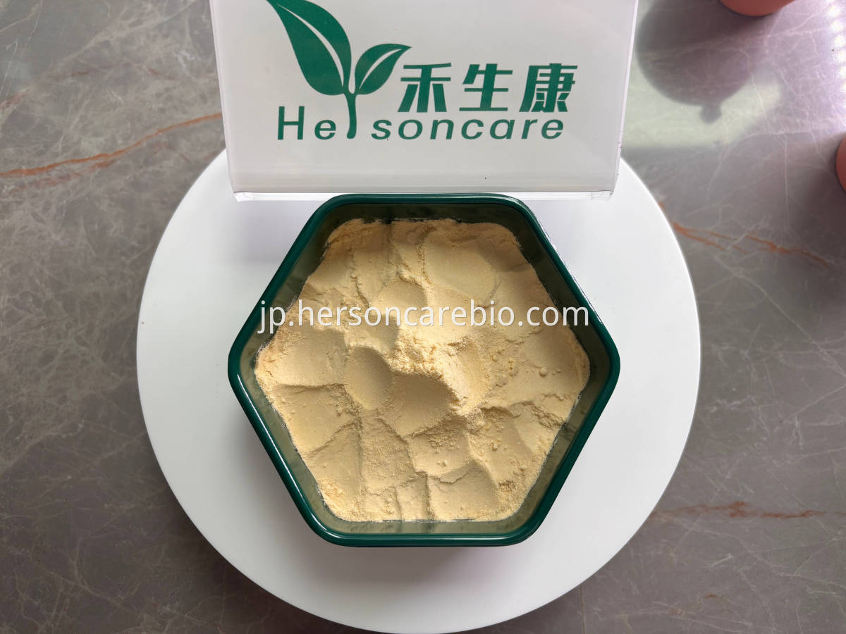 乾燥レモンパウダーをフリーズします Freeze Dried Lemon Powder Close-up
